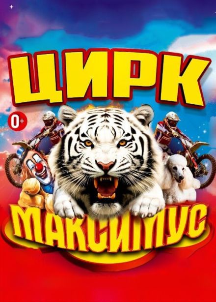 Цирк «Максимус»