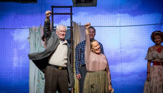 Спектакль «Любовь и голуби»