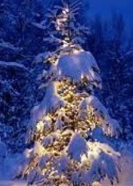 Как Дед Мороз на свет появился