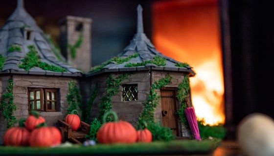 Выставка «Тайны Хогвартс»