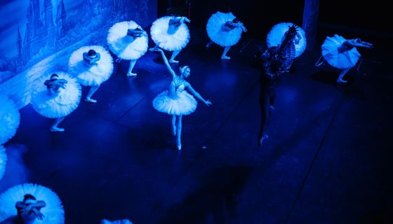 Балет «Лебединое озеро»