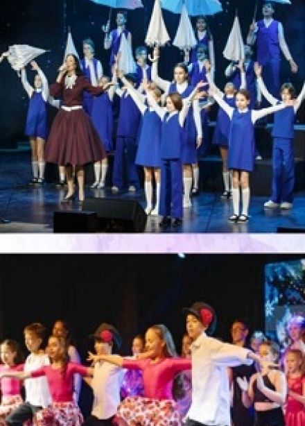 Волонтёры культуры